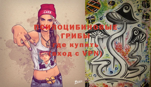 прущие грибы Армянск