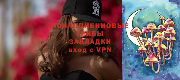 прущие грибы Армянск