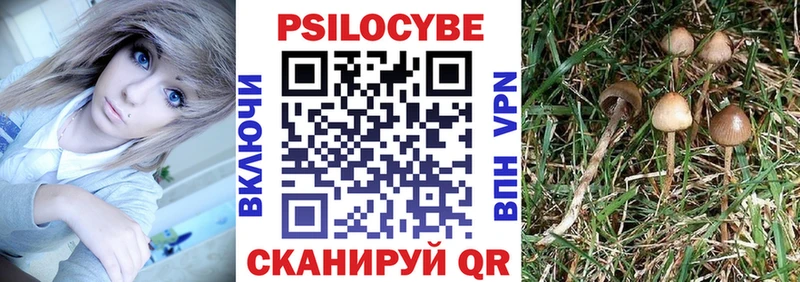 хочу   Углегорск  Галлюциногенные грибы ЛСД 